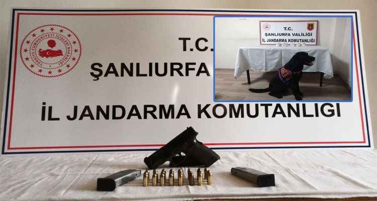 Şanlıurfa'da üç ilçede kaçakçılık operasyonu