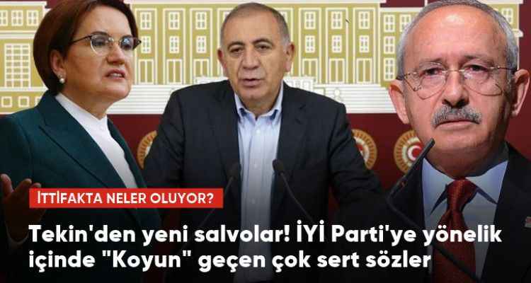 Gürsel Tekin'den İYİ Parti'ye yönelik zehir zemberek sözler: Susuyoruz ama koyun değiliz