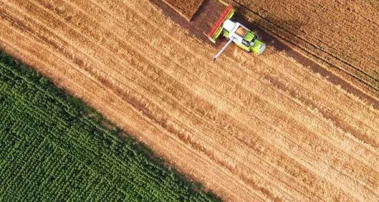 Verilere yansıdı Çiftçinin maliyeti katlandı