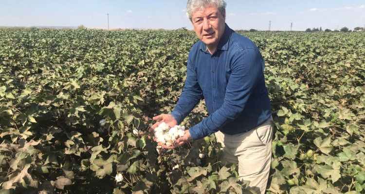 Şanlıurfa’da tahmini kütlü pamuk maliyeti açıklandı