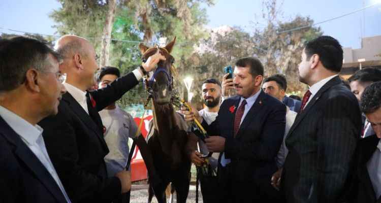 Bakan Soylu’ya Suruç'ta yarış atı hediye edildi!