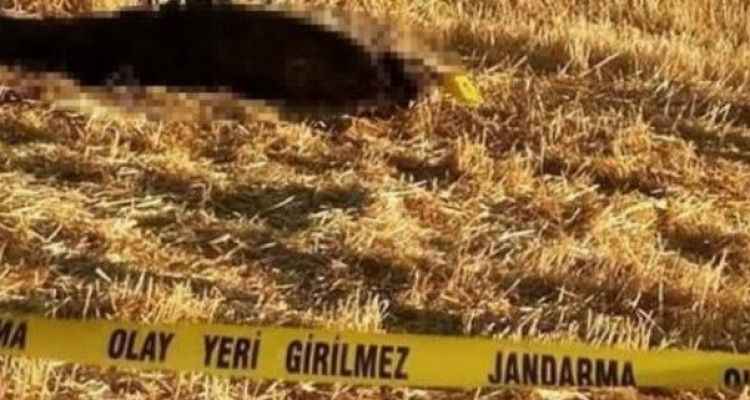 Ölü bulunan çiftçinin geride bıraktığı mektup ortaya çıktı! Her satırı kan dondurur