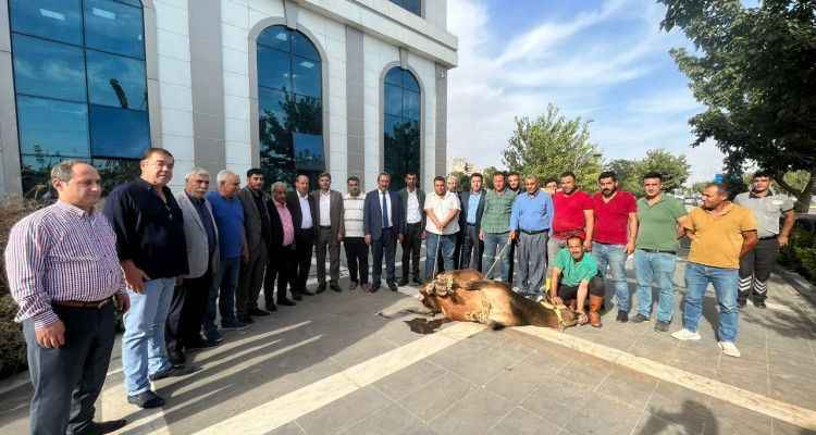 Yeniden ŞUTB başkanı seçilen Kaya, tebrikleri kabul ediyor