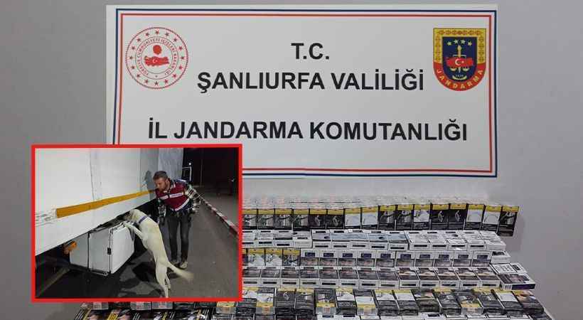 Urfa&#039;da jandarmadan 3 ilçede ‘şok yol arama’ faaliyeti