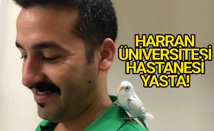 Şanlıurfa'da Genç hemşire elim hastalığa yenik düştü