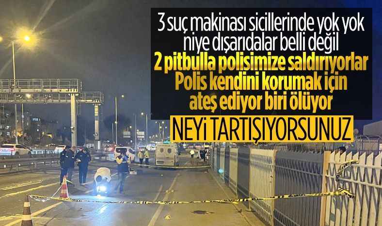 Pitbull Cinsi Köpek salınan polis ateş etti: 1 ölü
