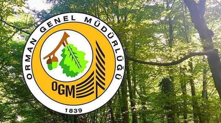 Orman Müdürlüğü yüzlerce personel alacak