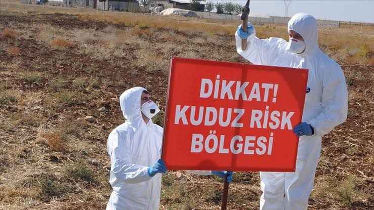 3 köy, kuduz nedeniyle karantinaya alındı
