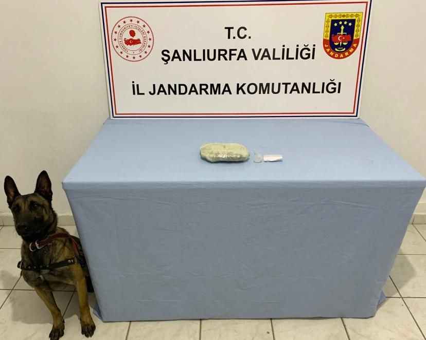 Jandarmadan Urfa’nın iki ilçesine operasyon! Yüzlerce uyuşturucu hap ile esrar maddesi ele geçirildi