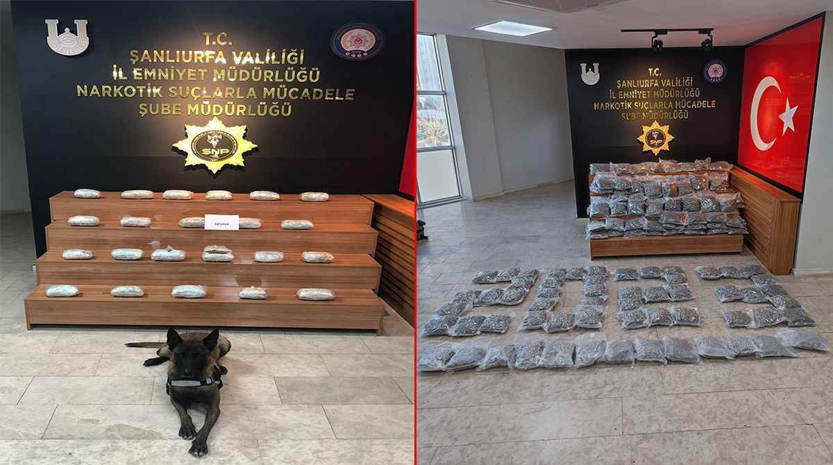 Şanlıurfa'da İki araçta paketler halinde ele geçirildi