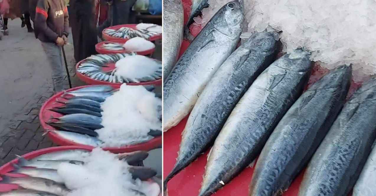 Urfa'da aldığınız balığa dikkat edin! Bunun da hilesi çıktı...