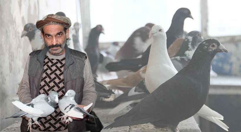 Urfa'da vazgeçilmeyen bir tutku: Kuşçuluk