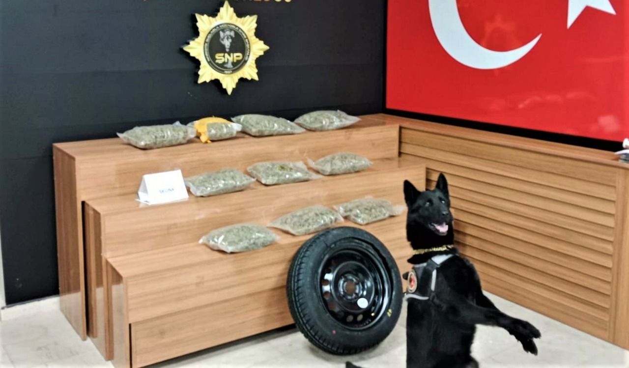 Durdurulan iki araçta kilolarca skunk maddesi çıktı!