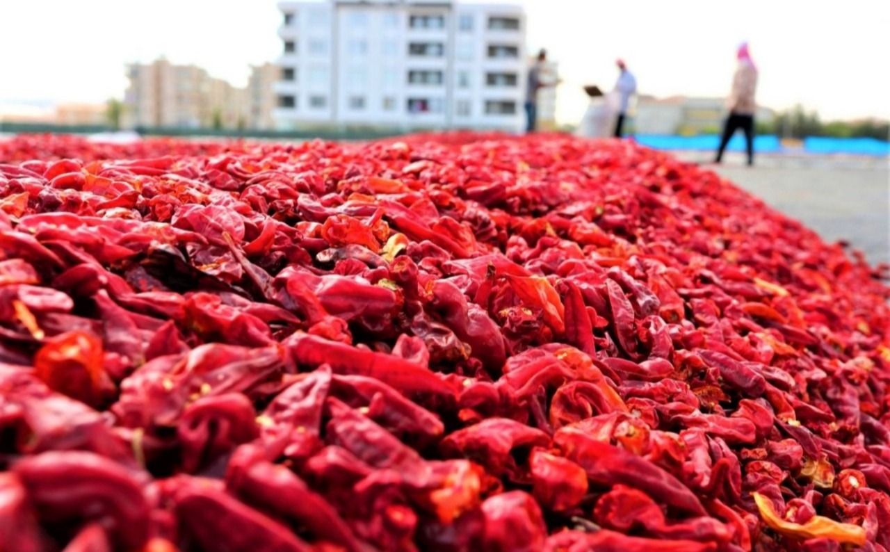 Urfa’nın ihracat ve ithalat rakamları açıklandı!