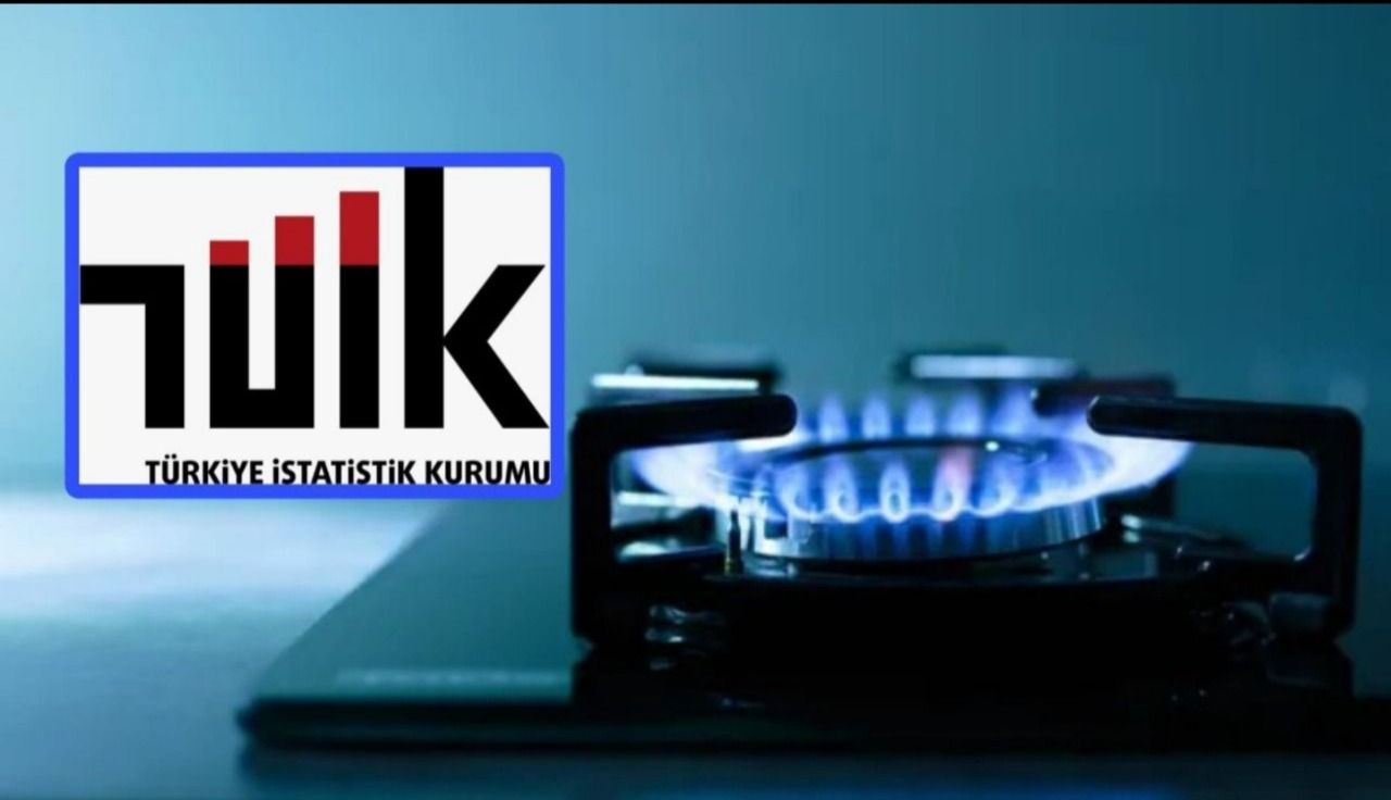 TÜİK'ten enflasyona doğal gaz ayarı