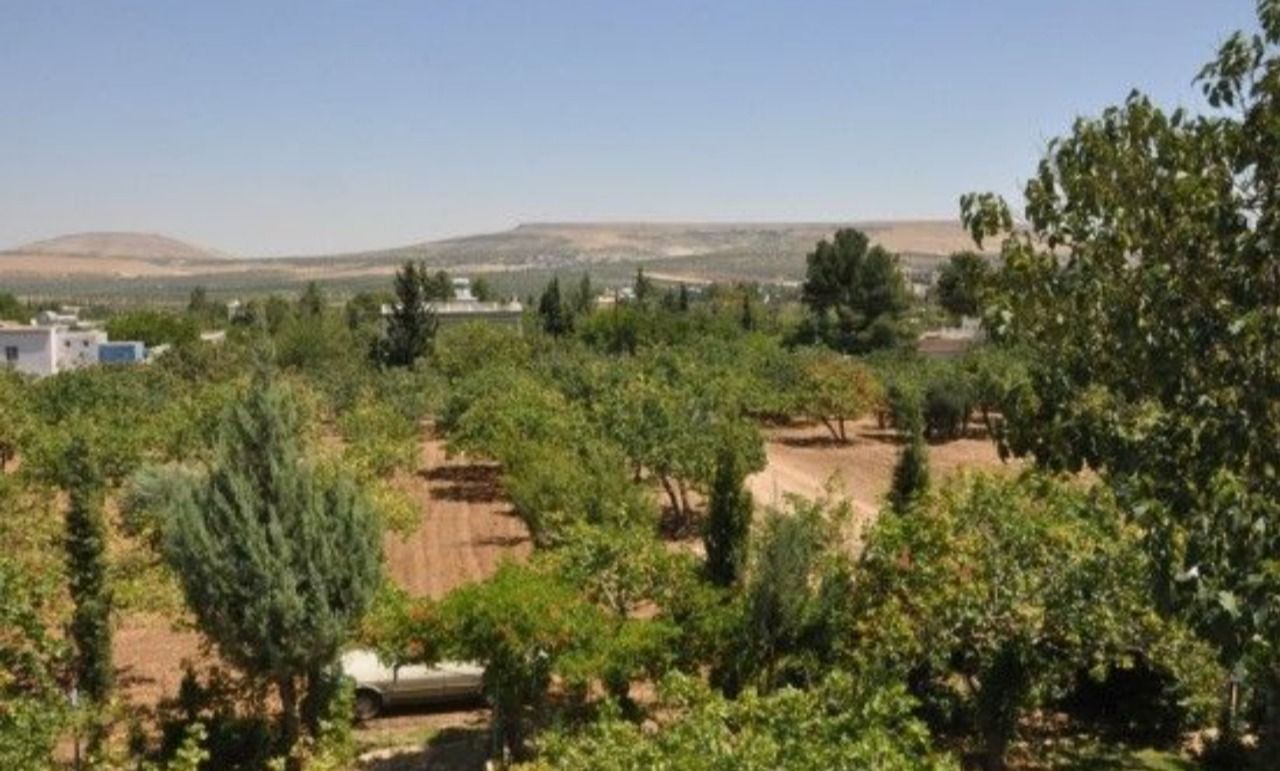 Şanlıurfa'da arazi anlaşmazlığında Tülmen'in itirazı