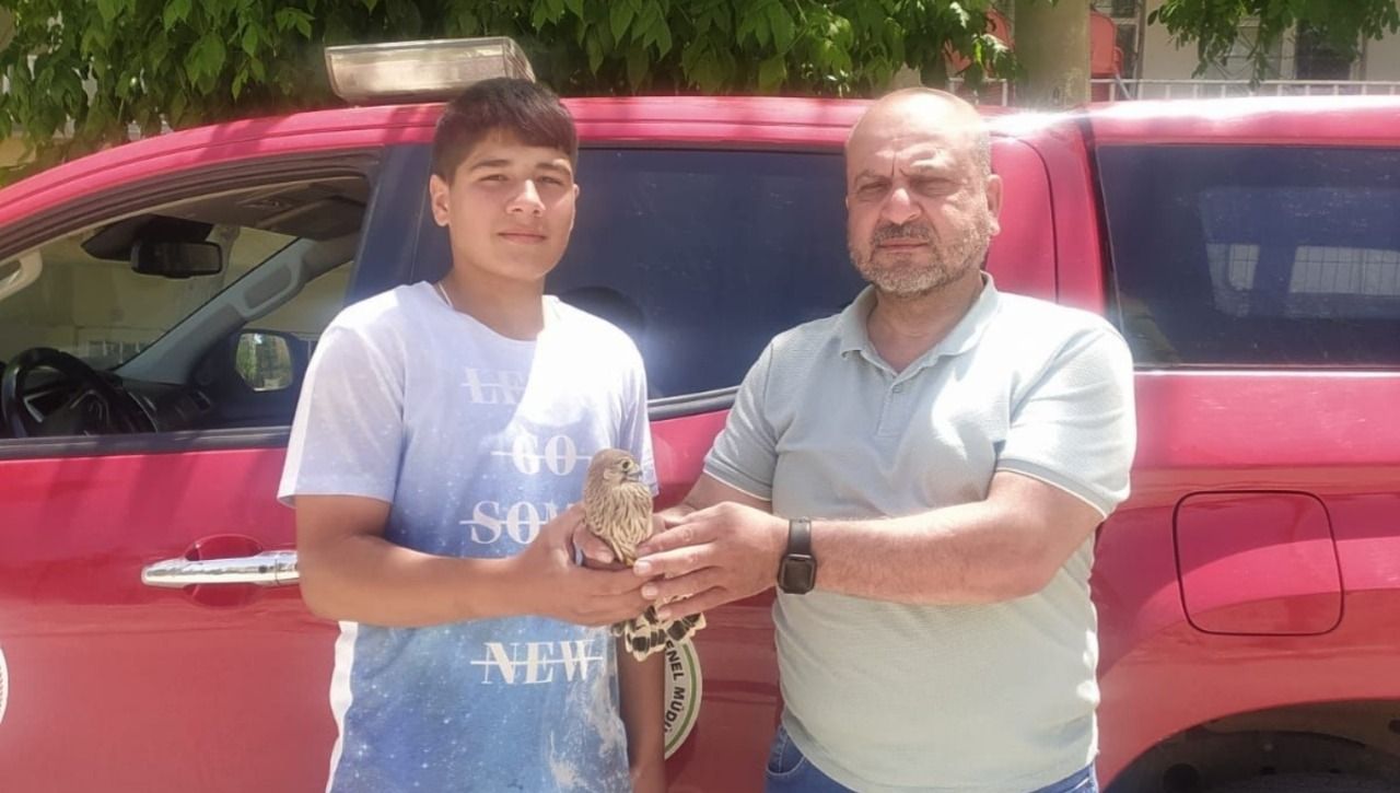 Urfa'da Bitkin halde bulunan kerkenez tedaviye alındı