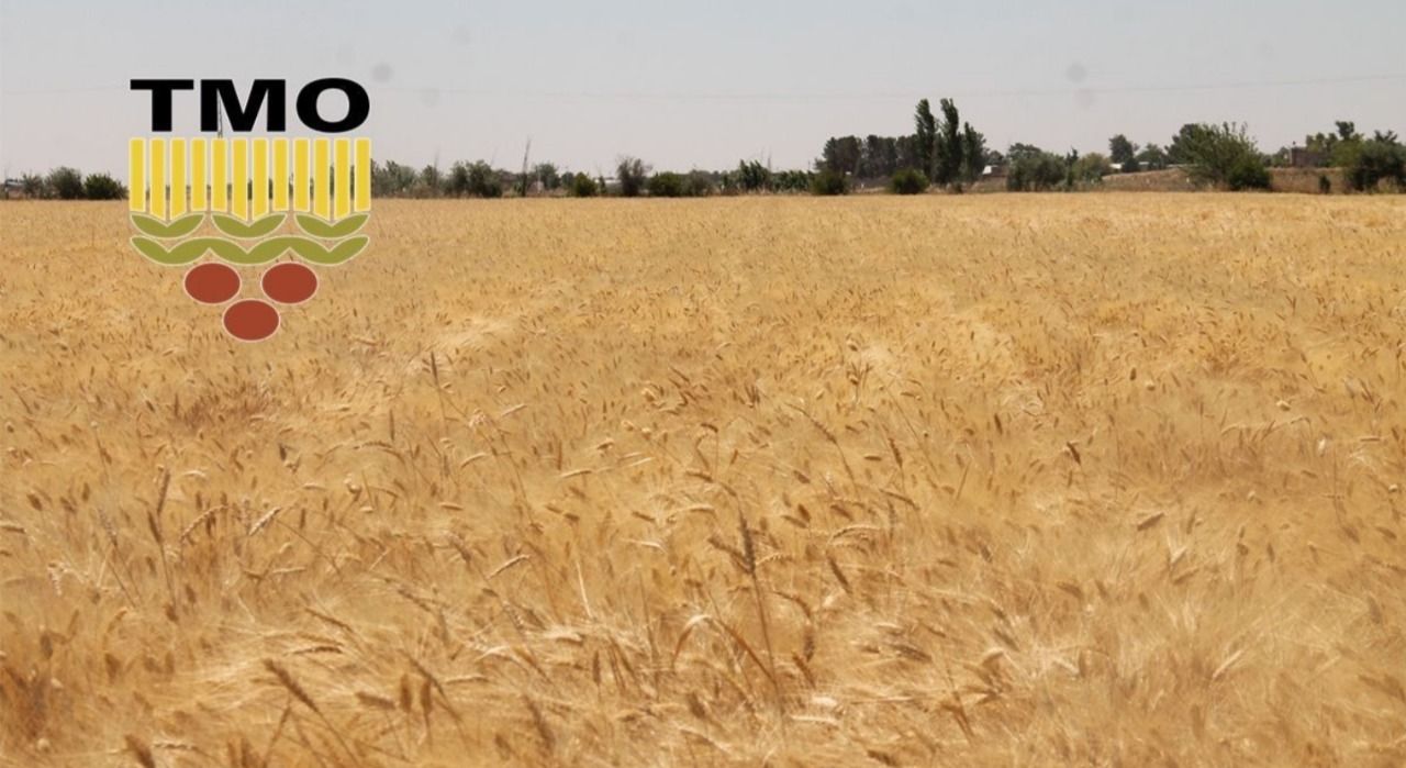 Urfa'da TMO randevuları açılıyor