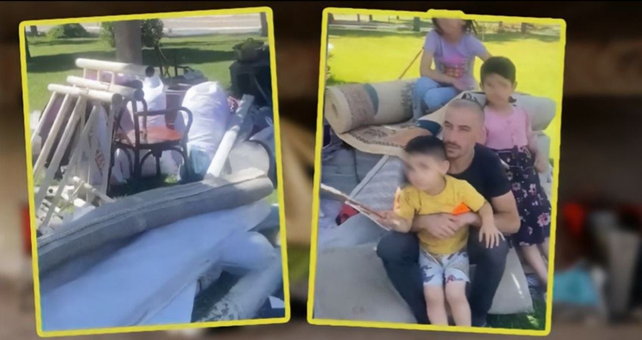 Urfa’da yürek dağlayan kare! 4 çocukla sokakta kaldılar