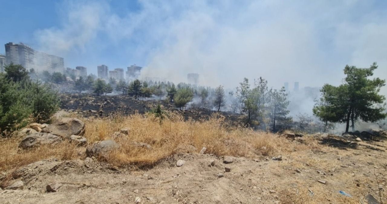 Urfa’daki orman yangınına ilişkin flaş açıklama!
