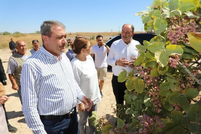 Şanlıurfa Valisi Şıldak kent gezilerini sürdürüyor