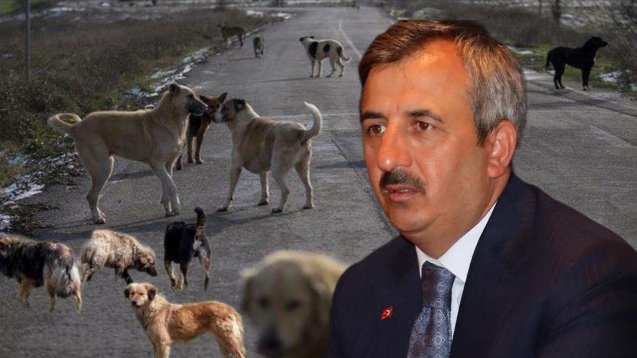 Vali Sezer "Zenginlerin fantezileriyle uğraşacak halimiz yok" diyerek sert çıktı! Talimatı verdi: 'Yayınlayalım da rezil olsunlar'