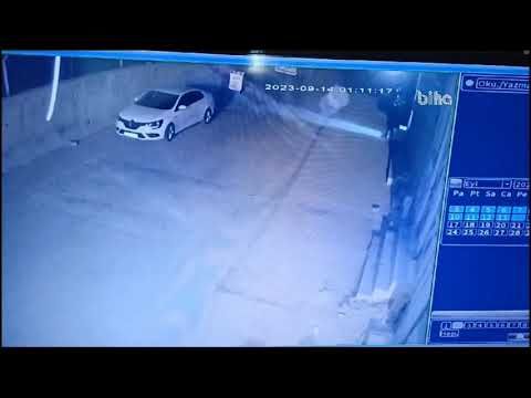 Şanlıurfa'da Hırsızlar mahallelinin kabusu oldu (VİDEO)