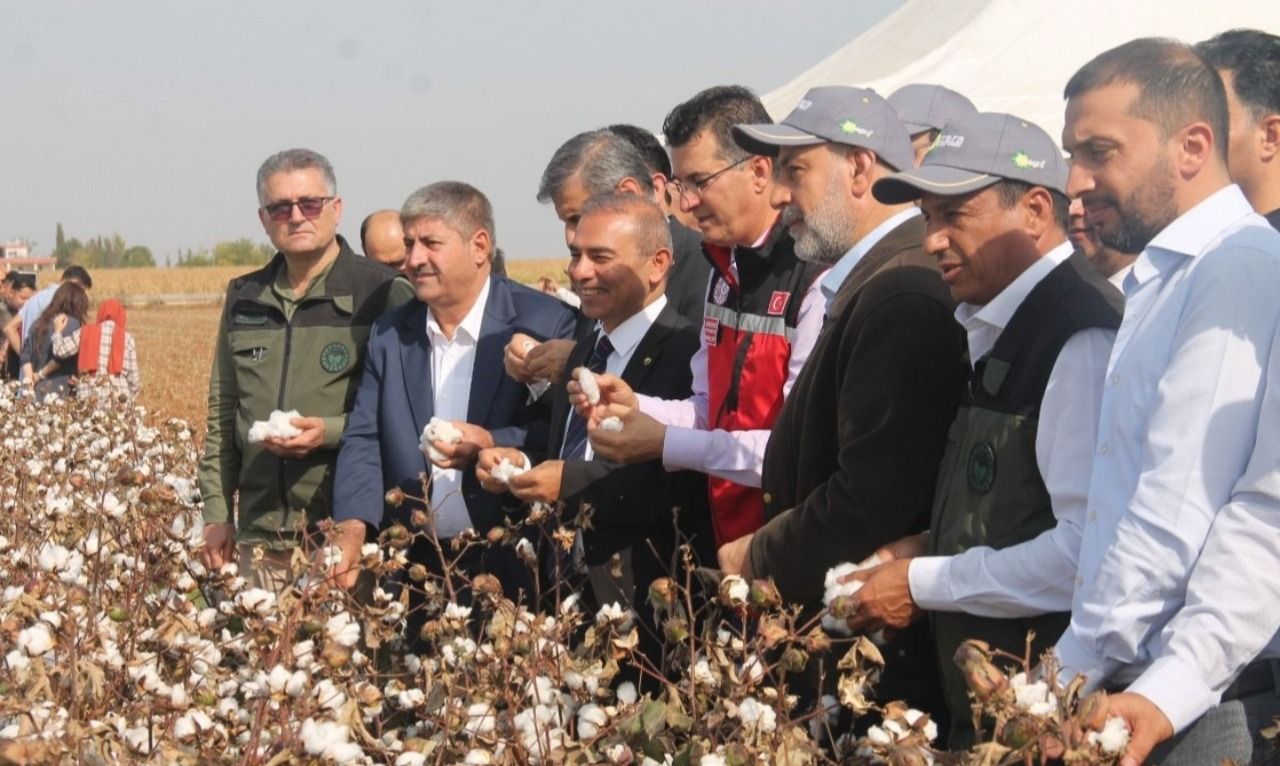 Pamuğun en çok yetiştirildiği Urfa'da bu festival ilk kez yapılıyor