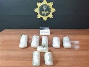 Şanlıurfa'da 9 kilo 350 gram skunk ele geçirildi