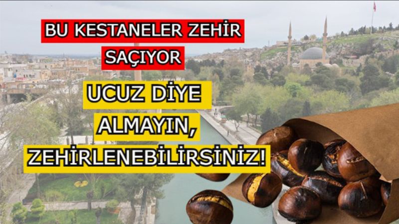 Kestane severler dikkat: Şanlıurfa’da kestane diye hayvan yemi satılıyor!