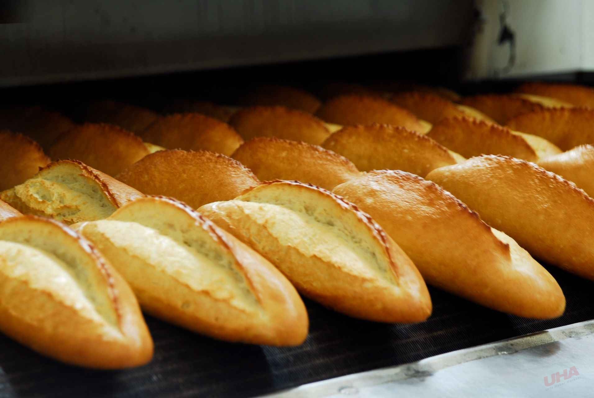 Ekmek rekabeti fiyatı düşürdü: Gören gözlerine inanamadı!