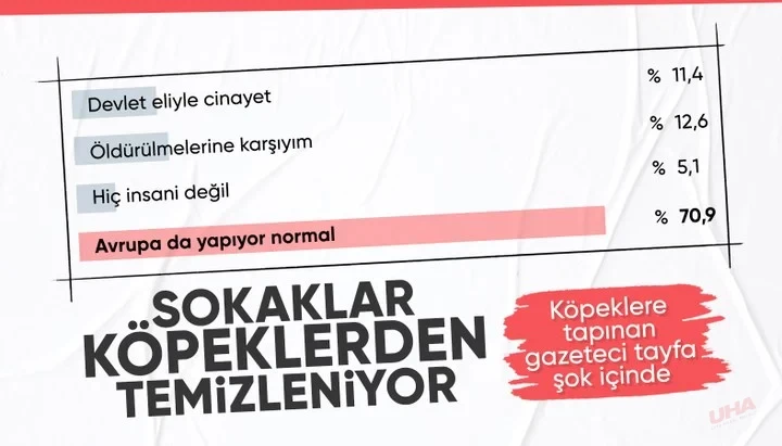 Sokaklar Köpeklerden Temizleniyor