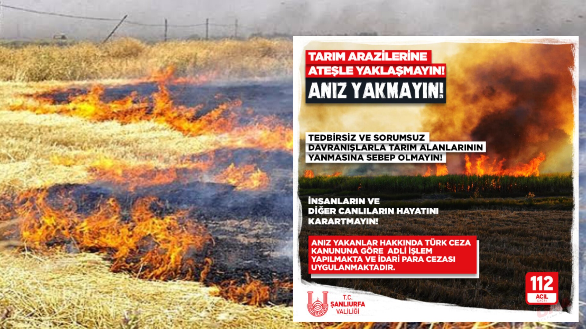 Şanlıurfa'da Tarım Arazilerine Sıkı Denetim