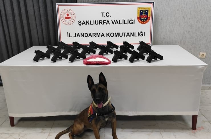 Şanlıurfa'da Büyük Operasyon: Kaçak Silah ve Uyuşturucu Ele Geçirildi