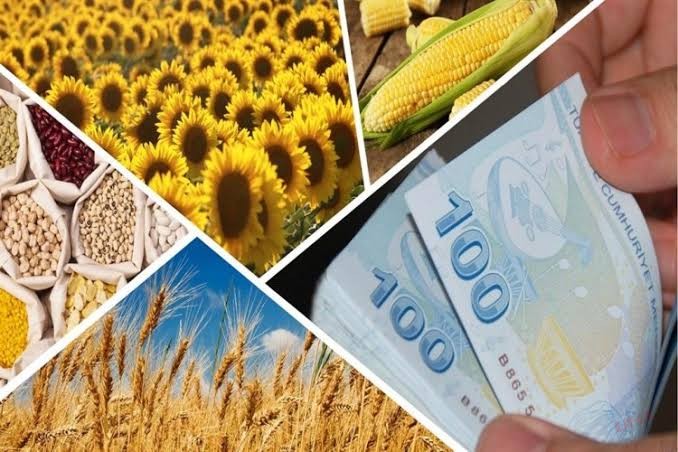 Şanlıurfa'da Tahıl Piyasası Güncellendi: İşte Yeni Rakamlar