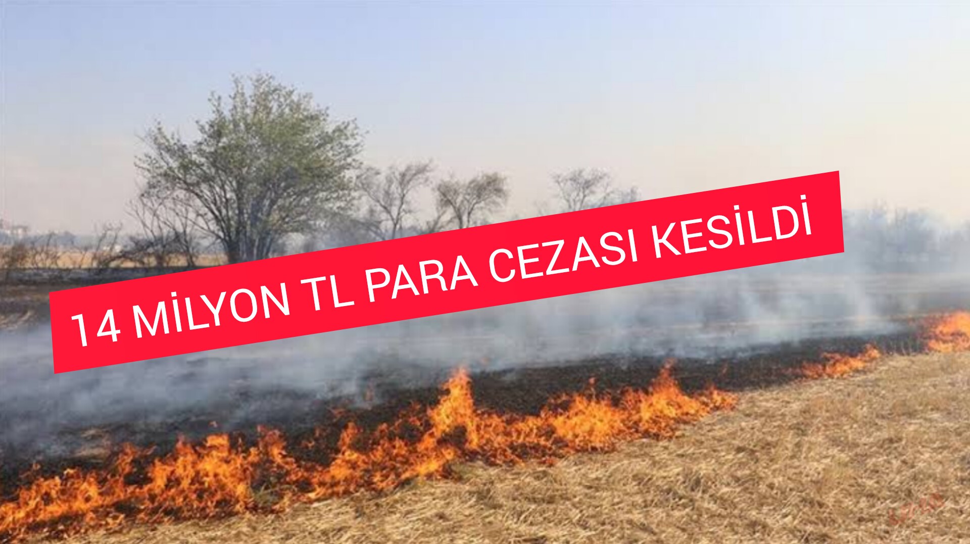Şanlıurfa'da Anız Yakma Olaylarına Geçit Yok! 14 Milyon TL Para Cezası Kesildi