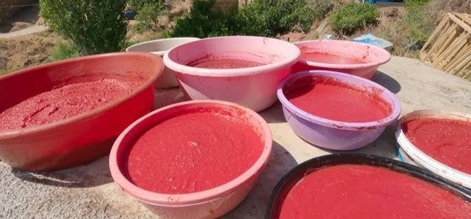 Şanlıurfa’da Salça Sezonu Açıldı: Bu Yıl Damlar Kızıl, Fiyatlar İse Cazip!