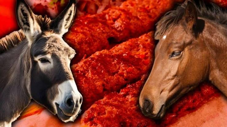 Skandal At ve Eşek Eti Tüketicilere Sunuluyor