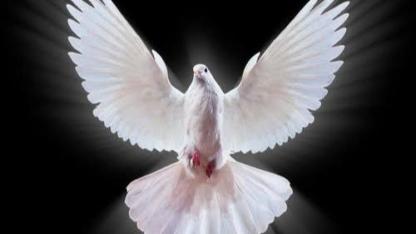 Susma, Susturma: Bir Kadının Ayağa Kalkış Hikâyesi