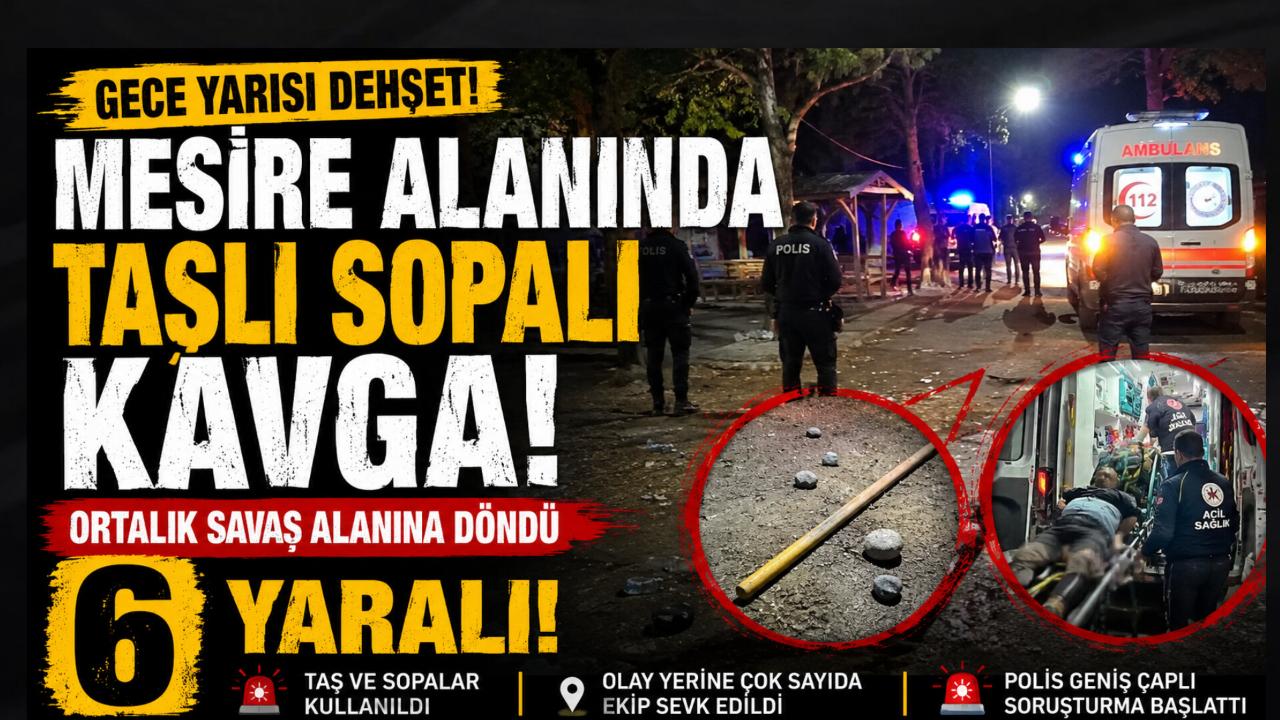 Gece Yarısı Mesire Alanında Dehşet: Taşlı Sopalı Kavga Ortalığı Kana Buladı!